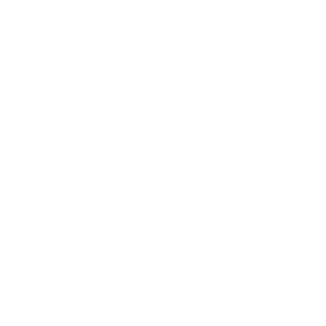 MINI_logo_white_300x300_transparent
